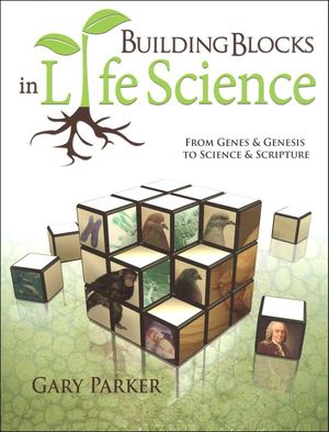 Building Blocks in Life Science